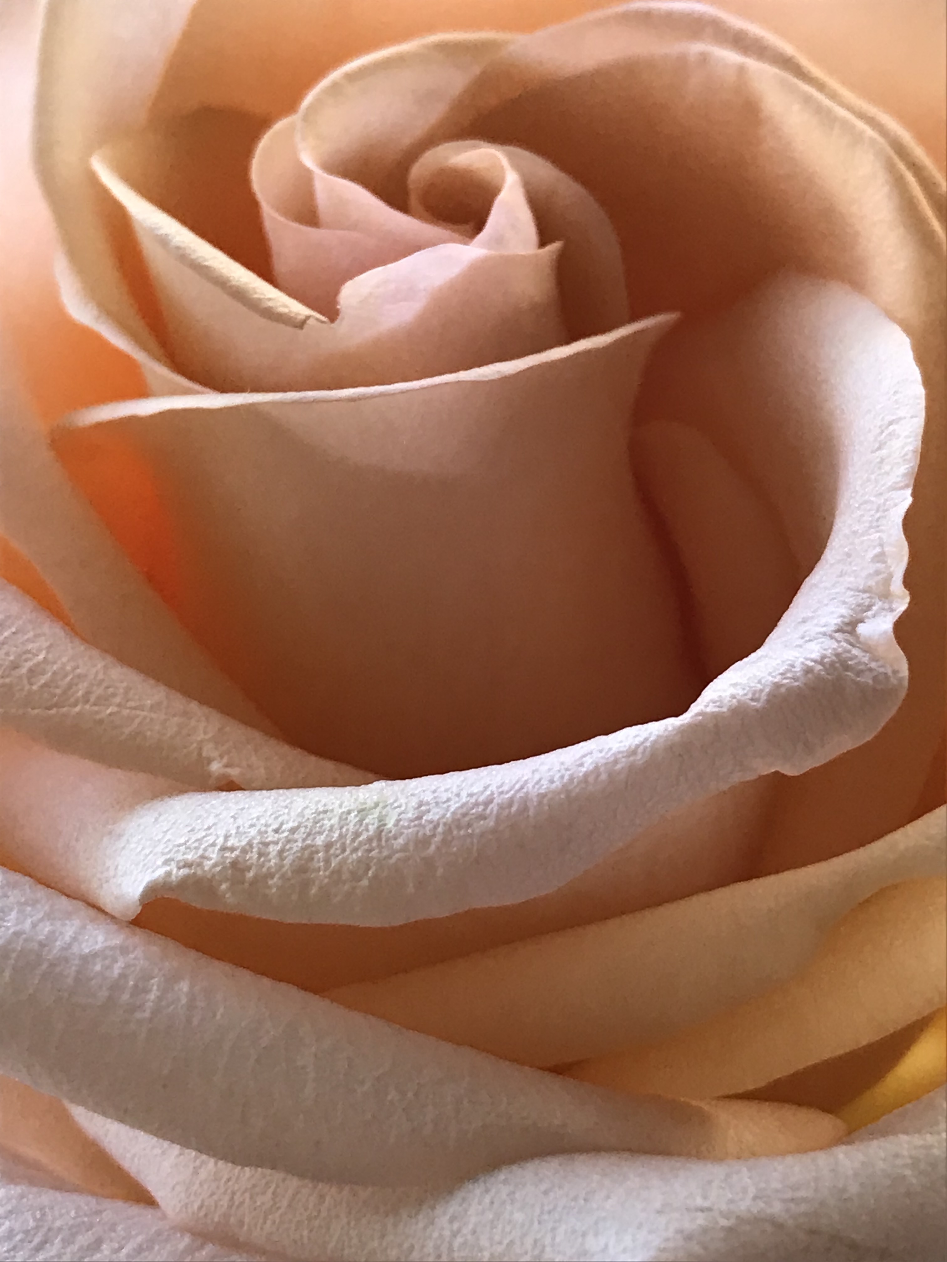 6UYzy5IGRrO35zjDCY0CRw